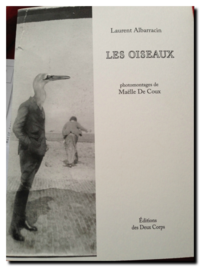 Laurent Albarracin | Les oiseaux